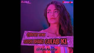 SHISHI BHARI GULAB KI  CIRCUIT REMIX   DJ AYK REMIX X DJ FARHANA MUMBAI 2024 [upl. by Tteve]