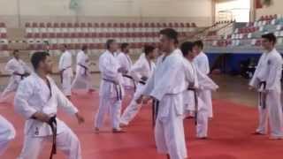 Kaeshi İppon Kumite [upl. by Ekaj]