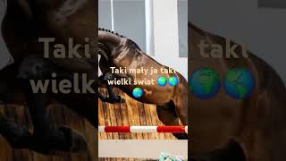 Taki mały ja taki wielki świat 🌏🌎🌍🐎 [upl. by Amarette]