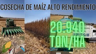 20940 toneladas X hectárea en maíz blanco BERRENDO [upl. by Aeneg]