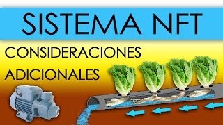 HIDROPONÍA  SISTEMA NFT EN LECHUGAS Nutrient Film Technique [upl. by Oir]