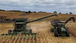 Our Easiest Corn Harvest Ever [upl. by Annaj]