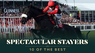 TOP 10 STAYERS HURDLES AT THE CHELTENHAM FESTIVAL [upl. by Clifton]