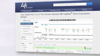 Finding the Right TaqMan® Gene Expression Assay [upl. by Amor]