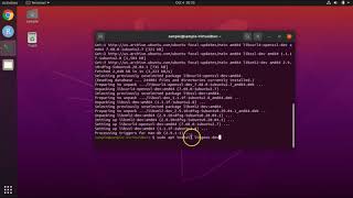 How to install the R Package ENMEval and xml2 tidyverse rJava under Ubuntu Linux 2004 [upl. by Eastlake]