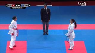 Finale Championnat du Monde karate 2014  Egipte Vs France 1 [upl. by Aihgn687]