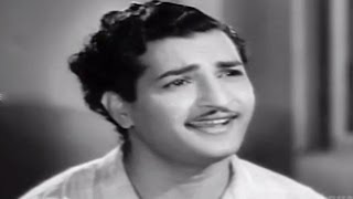 Missamma Movie  Kaavalante Istaale Video Song  NTR ANR SVR Savitri Jamuna [upl. by Llireva]