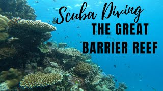 Diving the Great Barrier Reef 2024 PRO DIVE [upl. by Mandle]