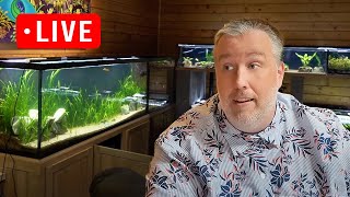 3 New Products at Aquarium CoOp Shopping Channel Live Stream [upl. by Cowan]