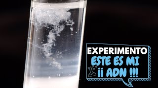 Como Extraer ADN Es IMPRESIONATE  Experimento Aprende D Salud [upl. by Ayekan]