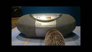 Japanese Radio CD Casette Sony CFDS350L Boombox Hedgehog Service [upl. by Atnuhs]