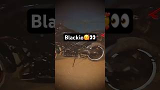 NS250￼Blackie youtubeshorts bikelover foryou song automobile viralvideos reels subrcribe12k [upl. by Aicargatla860]