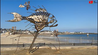 QUIBERON  🐠 Pesket le Poisson de Port Maria  TV Quiberon 247 [upl. by Tobie901]