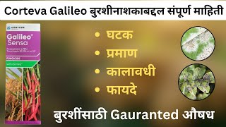 Galileo Sensa Fungicide  गलिलिओ बुरशीनाशकाबद्दल संपूर्ण माहिती [upl. by Yelssew]