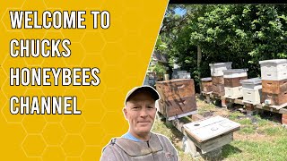 Chucks Honey Bees Intro  Jacksonville FL Zone 9b [upl. by Eelessej258]