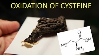 Oxidation of the Amino Acid LCysteine [upl. by Lambrecht860]