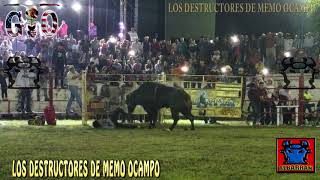 PUÑOS DE ACERO CON CHALECO DE COLIMA EN PEDERNALES MICHOACAN [upl. by Nais725]