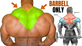 TRAPS WORKOUT 8 best exercises with barbell only at home [upl. by Catlin]