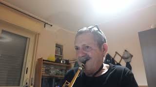 zucchero diamante sax cover soprano mario caserta [upl. by Leakcim]