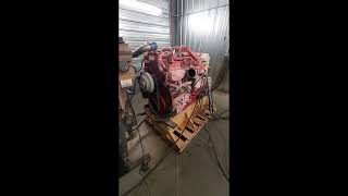 Used 2019 Cummins X15 Engine Test Run 50018446 [upl. by Irak]