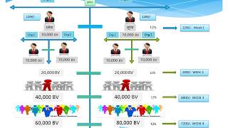 mi lifestyle global marketing pvt ltd plan [upl. by Ait]