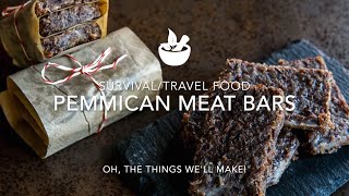 Pemmican Survival Bars Meat Bars Recipe [upl. by Jollanta]