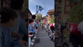 Mondiali ciclismo Zurigo 2024 pogacar mindiali zürich cycling [upl. by Pendergast]