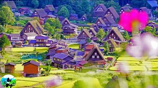 Shirakawago the BEST ancient village in Japan🤩shirakawago Gifu Ken Japantravelwithme [upl. by Analad]