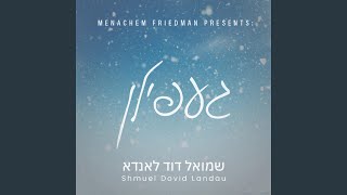 Tzelem Elokim  געפילן פון שטאלץ [upl. by Bracci]