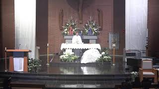 Corpus Christi Live Mass May 2024 [upl. by Avrit]