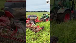 SEEDING WHEAT INTO A COVER CROP [upl. by Cinimmod804]