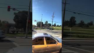 Los Angeles Unified School District 2018 IC CE School Bus 8183u [upl. by Nahtnamas]