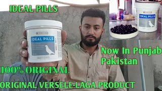 PIGEON MEDICEN  IDEAL PILLS  VERSELE LAGA  BEST PRODUCT EVER [upl. by Nauqad952]