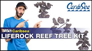 CaribSea Reef Tree Kit Review What is it How to use it Is it the aquascape your reef tank wants [upl. by Nilyad]