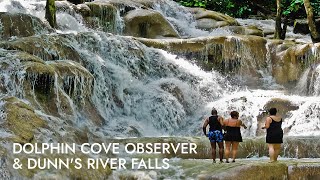 Dolphin Cove amp Dunns River Falls  Shore Excursion  NCL [upl. by Idur]