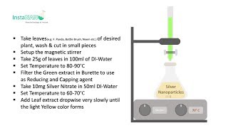 Synthesis of Silver Nanoparticles by Leaf Extract  InstaNANO [upl. by Jonas]