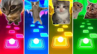 Chipi Chipi Chapa Chapa Cat vs Happy Happy Happy Cat vs Sad Cat vs Talking Cats  Tiles Hop EDM Rush [upl. by Hibben]