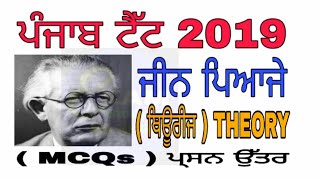 Pstet Study Jean Piaget Theory  Importent Mcq  ਜੀਨ ਪਿਆਜੇ ਥਿਊਰੀਜ [upl. by Stock]