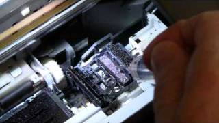 Unplugging Epson Print Heads video Inkmizercom America [upl. by Huttan392]