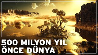 Dünya 500 milyon yıl önce nasıl bir yerdi  Dünyanın Belgesel Tarihi [upl. by Divine]