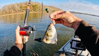 4 Hours of RAW and UNCUT Kayak Catfishing  Dragging Cut Bait on the Tennessee River [upl. by Ellainad]