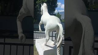 Beautiful Horse Statue  Stunning Equestrian Beauty [upl. by Creighton]