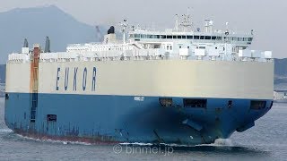 MORNING LUCY  EUKOR CAR CARRIERS vehicles carrier [upl. by Anerhs641]