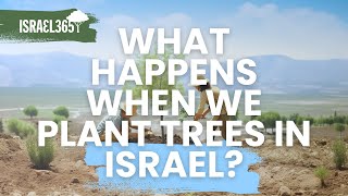 What Happens When you Plant Trees in Israel [upl. by Eidda]