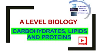 A level  biology  Edexcel  Topic 1A  carbohydrates  lipids  proteins [upl. by Sekyere242]