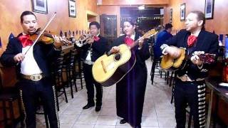 El Herradero Mireya y su Mariachi Charros de Mexico [upl. by Anallij]