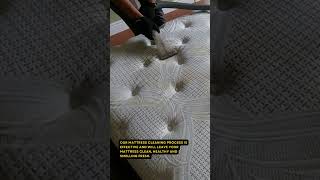 How to clean your super dirty mattresses by ProCarpet Care amp Cleaning Services [upl. by Nickolai]