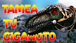 🦖Como TAMEAR un GIGANOTOSAURUS en ARK 2024 [upl. by Melisa]