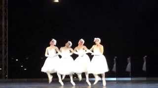 Les Ballets Trockadero de Monte Carlo [upl. by Anaillil598]