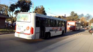 Videos de colectivos en Lujan Buenos Aires Terminal de Omnibus [upl. by Dolora]